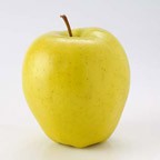 Golden Delicious